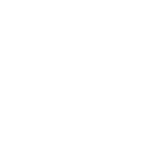 Novus
