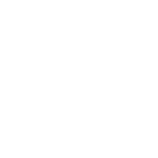 Initial